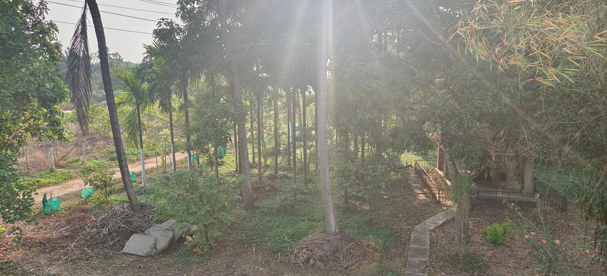 Sugamya Farm Guesthouse Sāgar Quarto foto